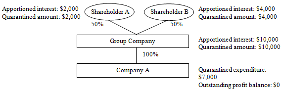 Example 1 - Group companies and other shareholders